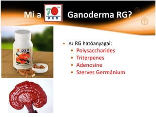 Mi a    Ganoderma RG?

       • Az RG hatóanyagai:
          •   Polysaccharides
          •   Triterpenes
          •   Adenosine
          •   Szerves Germánium
 