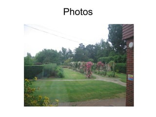 Photos
 