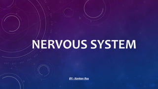 NERVOUS SYSTEM
BY:- Kankan Roy
 