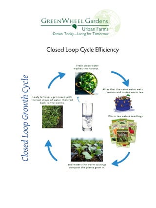 Closed Loop Cycle Efficiency

 