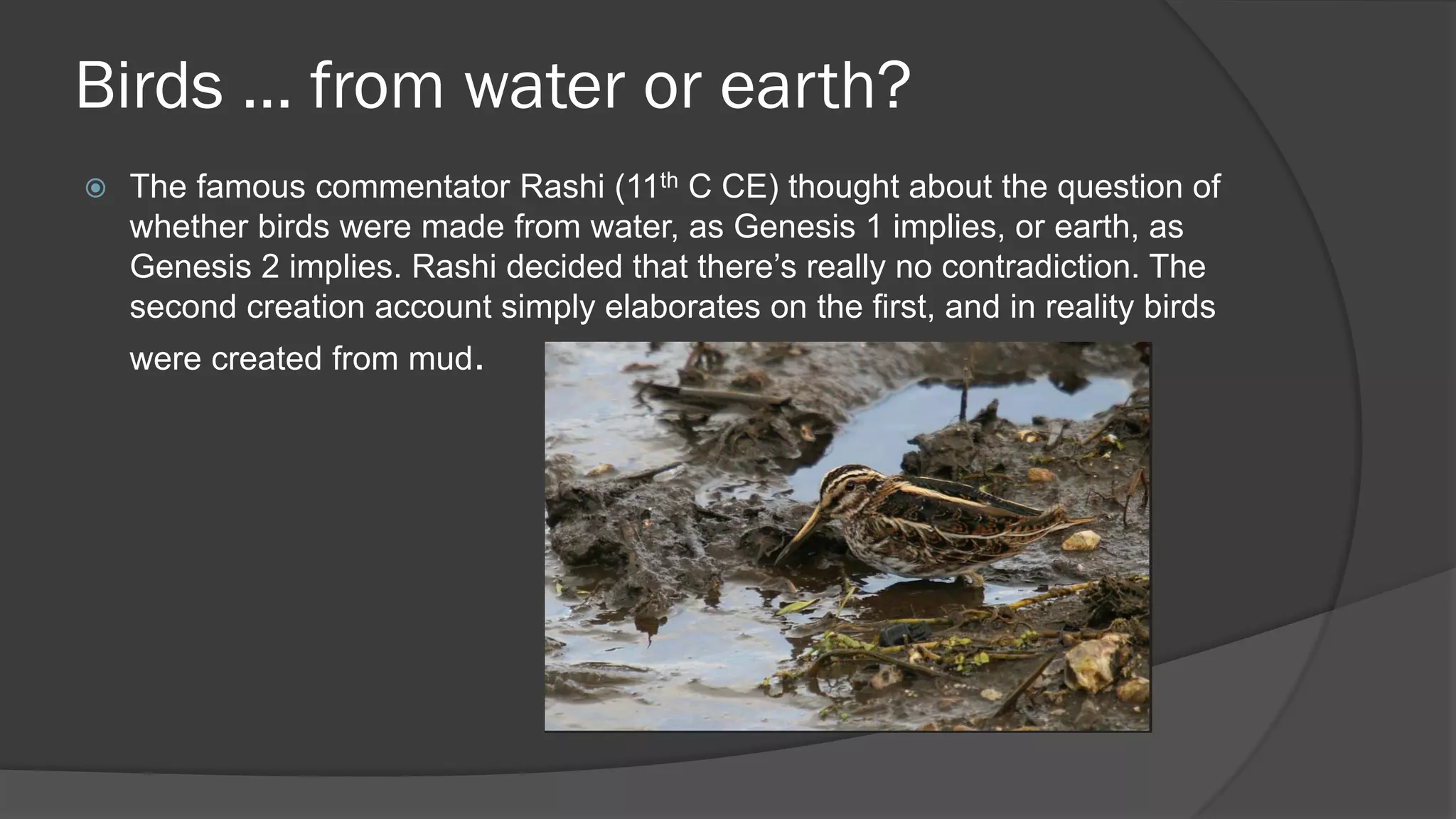Birds … from water or earth?
 The famous commentator Rashi (11th C CE) thought about the question of
whether birds were made from water, as Genesis 1 implies, or earth, as
Genesis 2 implies. Rashi decided that there’s really no contradiction. The
second creation account simply elaborates on the first, and in reality birds
were created from mud.
 