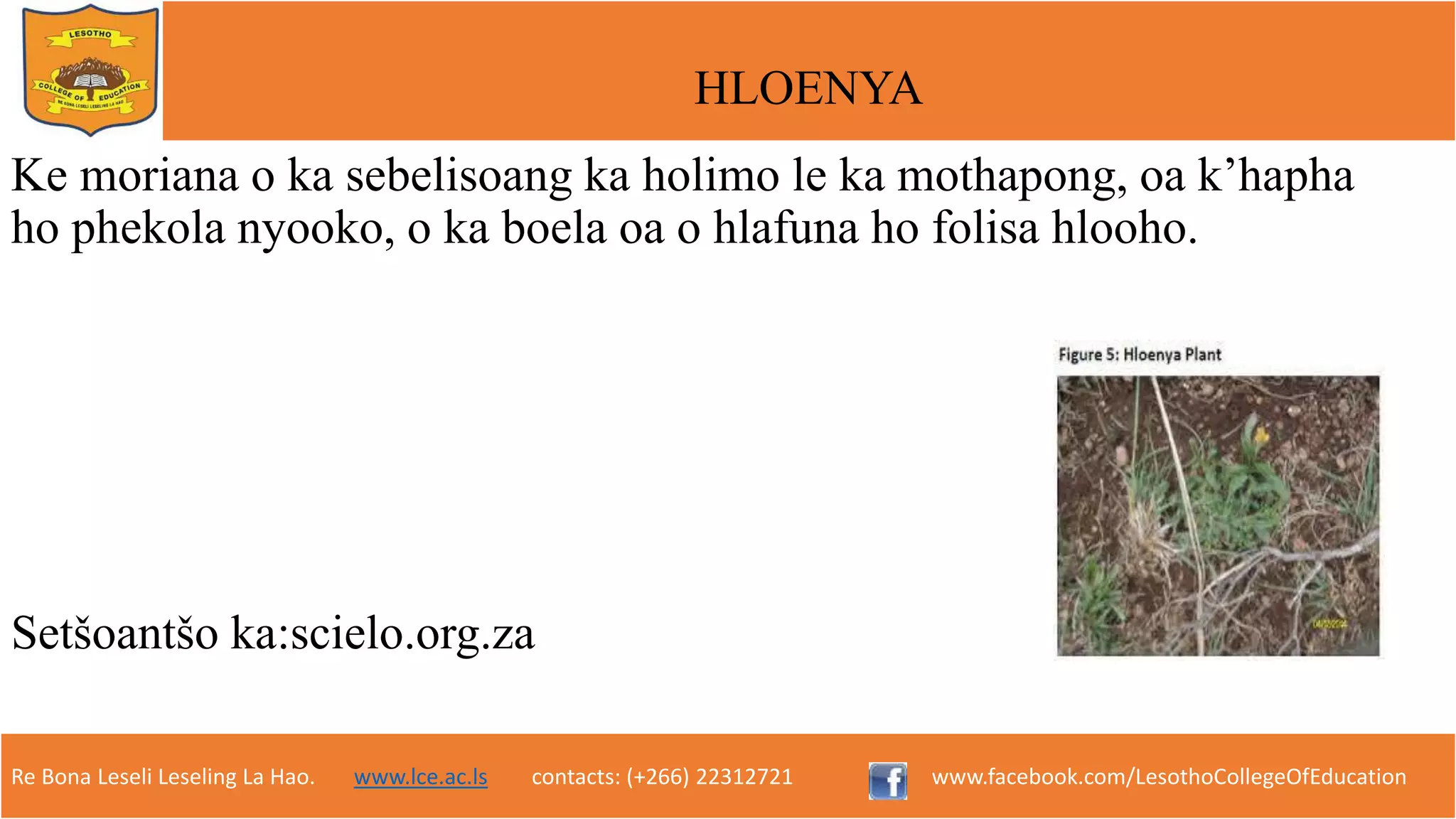 Meriana ea Sesotho e phekolang | PPTX