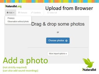 Add a photo
(not strictly required)
(can also add sound recordings)
Upload from Browser
 