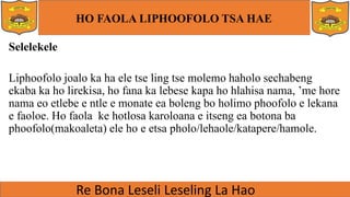 HO FAOLA LIPHOOFOLO TSA HAE
Selelekele
Liphoofolo joalo ka ha ele tse ling tse molemo haholo sechabeng
ekaba ka ho lirekisa, ho fana ka lebese kapa ho hlahisa nama, ’me hore
nama eo etlebe e ntle e monate ea boleng bo holimo phoofolo e lekana
e faoloe. Ho faola ke hotlosa karoloana e itseng ea botona ba
phoofolo(makoaleta) ele ho e etsa pholo/lehaole/katapere/hamole.
 
