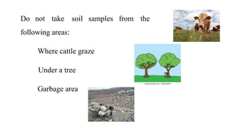 Soil sampling analysis for various technique | PPTX