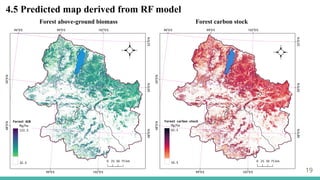 19
4.5 Predicted map derived from RF model
Forest above-ground biomass Forest carbon stock
 