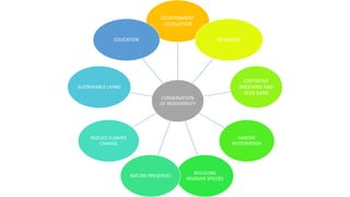 CONSERVATION
OF BIODIVERSITY
GOVERNMENT
LEGISLATION
RESAERCH
CAPITATIVE
BREEDING AND
SEED BANK
HABITAT
RESTORATION
REDUCING
INVASIVE SPECIES
NATURE PRESERVES
REDUCE CLIMATE
CHANGE
SUSTAINABLE LIVING
EDUCATION
 