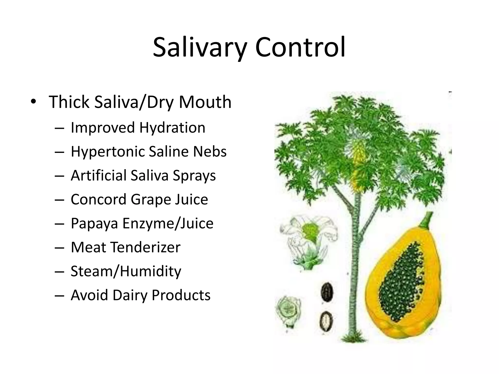 Salivary Control 
• Thick Saliva/Dry Mouth 
– Improved Hydration 
– Hypertonic Saline Nebs 
– Artificial Saliva Sprays 
– Concord Grape Juice 
– Papaya Enzyme/Juice 
– Meat Tenderizer 
– Steam/Humidity 
– Avoid Dairy Products 
 