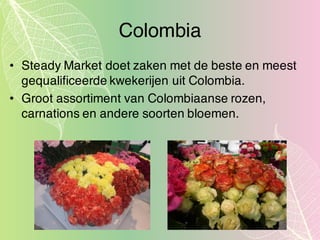 Colombia
• Steady Market doet zaken met de beste en meest
gequalificeerde kwekerijen uit Colombia.
• Groot assortiment van Colombiaanse rozen,
carnations en andere soorten bloemen.
 