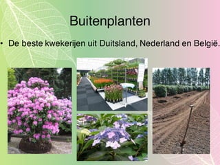Buitenplanten
• De beste kwekerijen uit Duitsland, Nederland en België.
 