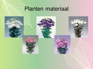 Planten materiaal
 