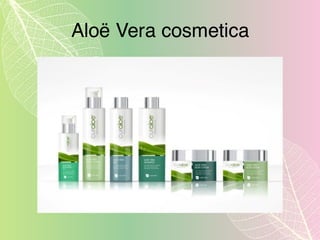 Aloë Vera cosmetica
 