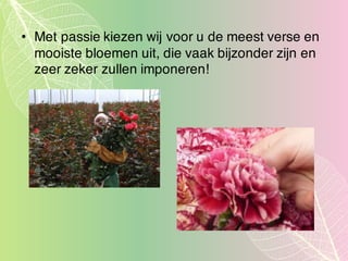 • Met passie kiezen wij voor u de meest verse en
mooiste bloemen uit, die vaak bijzonder zijn en
zeer zeker zullen imponeren!
 