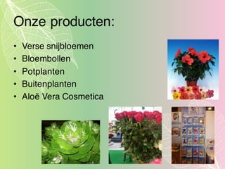 Onze producten:
• Verse snijbloemen
• Bloembollen
• Potplanten
• Buitenplanten
• Aloë Vera Cosmetica
 