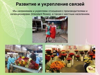 Развитие и укрепление связей
Мы налаживаем и укрепляем отношения с производителями и
селекционерами (Interplant Roses), а также с местным населением.
 