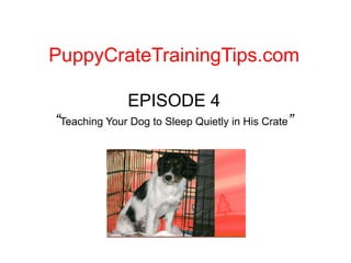 PuppyCrateTrainingTips.com EPISODE 4“Teaching Your Dog to Sleep Quietly in His Crate” 