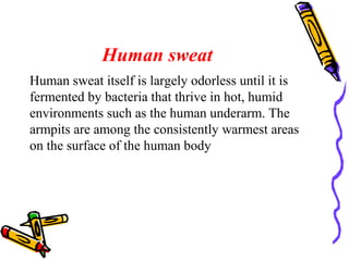 Human sweat
Human sweat itself is largely odorless until it is
fermented by bacteria that thrive in hot, humid
environments such as the human underarm. The
armpits are among the consistently warmest areas
on the surface of the human body
 