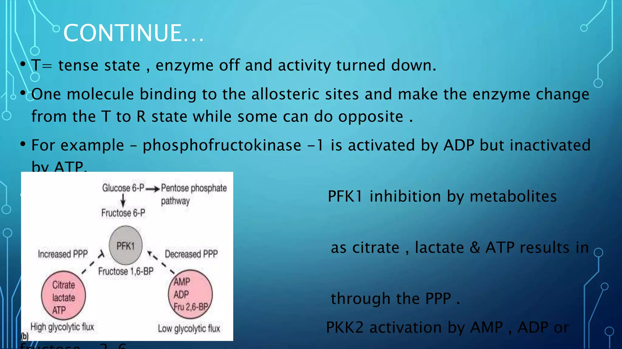 CONTINUE…
• T= tense state , enzyme off and activity turned down.
• One molecule binding to the allosteric sites and make the enzyme change
from the T to R state while some can do opposite .
• For example – phosphofructokinase -1 is activated by ADP but inactivated
by ATP.
• PFK1 inhibition by metabolites
intermediates such
as citrate , lactate & ATP results in
increase flux
through the PPP .
PKK2 activation by AMP , ADP or
 