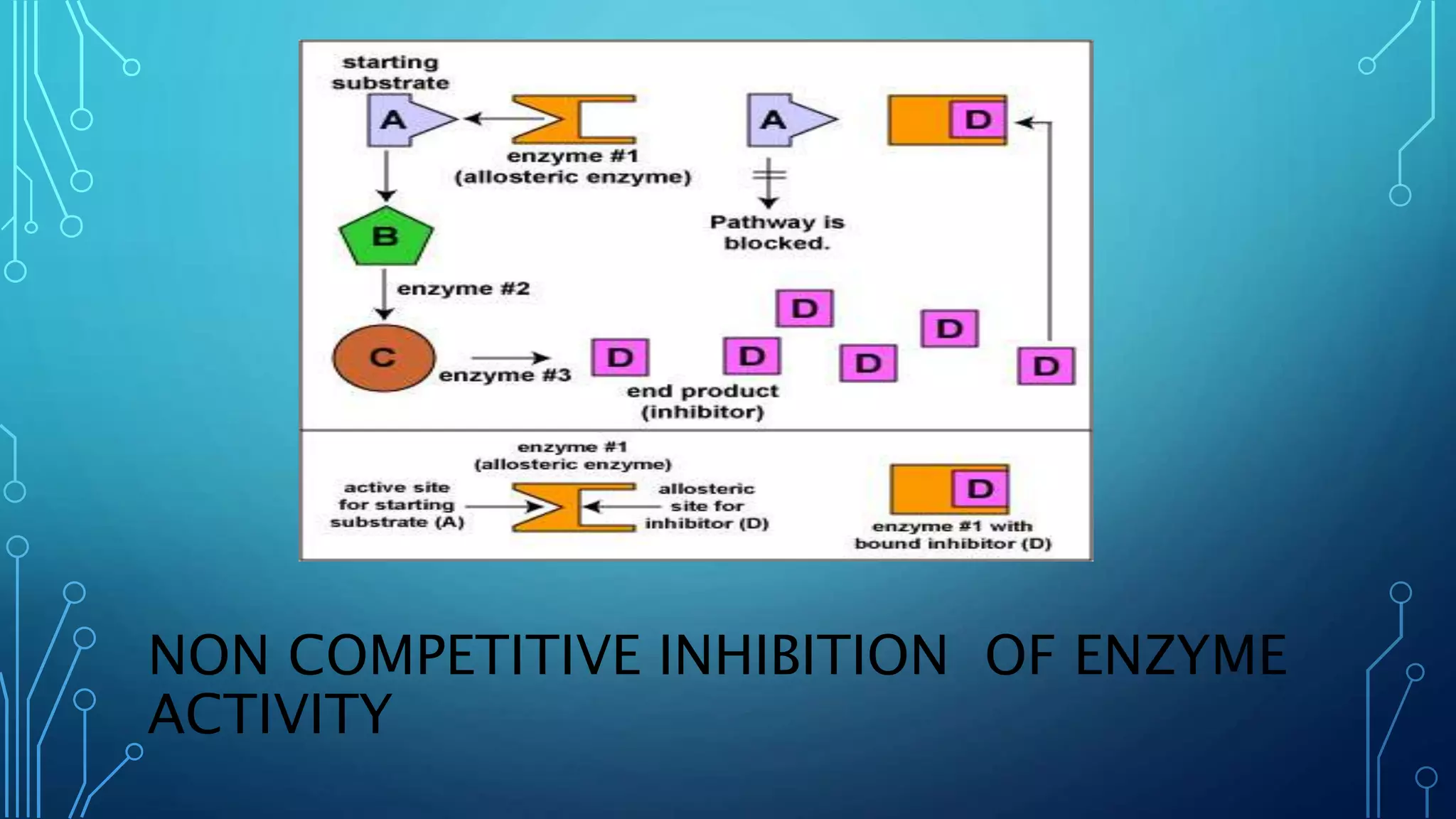 NON COMPETITIVE INHIBITION OF ENZYME
ACTIVITY
 