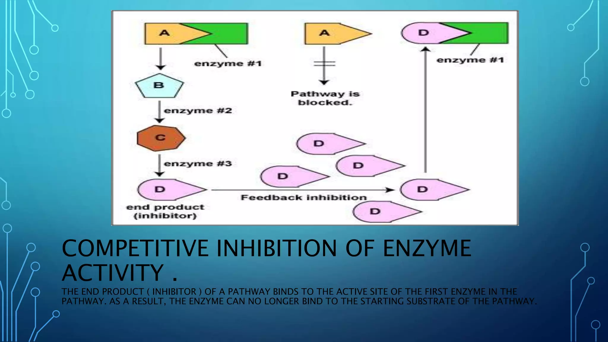 COMPETITIVE INHIBITION OF ENZYME
ACTIVITY .
THE END PRODUCT ( INHIBITOR ) OF A PATHWAY BINDS TO THE ACTIVE SITE OF THE FIRST ENZYME IN THE
PATHWAY. AS A RESULT, THE ENZYME CAN NO LONGER BIND TO THE STARTING SUBSTRATE OF THE PATHWAY.
 