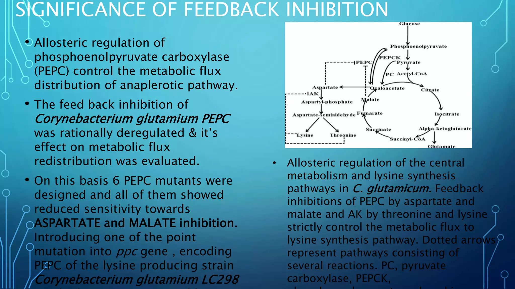 SIGNIFICANCE OF FEEDBACK INHIBITION
• Allosteric regulation of
phosphoenolpyruvate carboxylase
(PEPC) control the metabolic flux
distribution of anaplerotic pathway.
• The feed back inhibition of
Corynebacterium glutamium PEPC
was rationally deregulated & it’s
effect on metabolic flux
redistribution was evaluated.
• On this basis 6 PEPC mutants were
designed and all of them showed
reduced sensitivity towards
ASPARTATE and MALATE inhibition.
Introducing one of the point
mutation into ppc gene , encoding
PEPC of the lysine producing strain
Corynebacterium glutamium LC298
• Allosteric regulation of the central
metabolism and lysine synthesis
pathways in C. glutamicum. Feedback
inhibitions of PEPC by aspartate and
malate and AK by threonine and lysine
strictly control the metabolic flux to
lysine synthesis pathway. Dotted arrows
represent pathways consisting of
several reactions. PC, pyruvate
carboxylase, PEPCK,
 