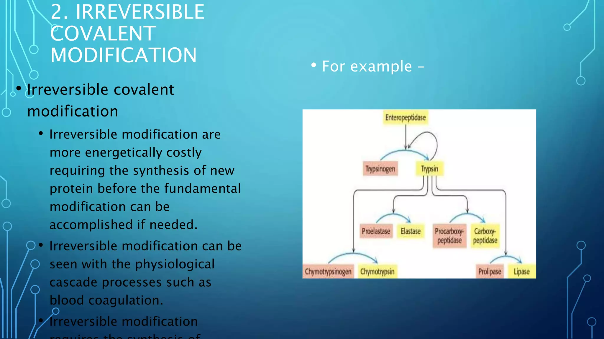 2. IRREVERSIBLE
COVALENT
MODIFICATION
• Irreversible covalent
modification
• Irreversible modification are
more energetically costly
requiring the synthesis of new
protein before the fundamental
modification can be
accomplished if needed.
• Irreversible modification can be
seen with the physiological
cascade processes such as
blood coagulation.
• Irreversible modification
• For example –
 