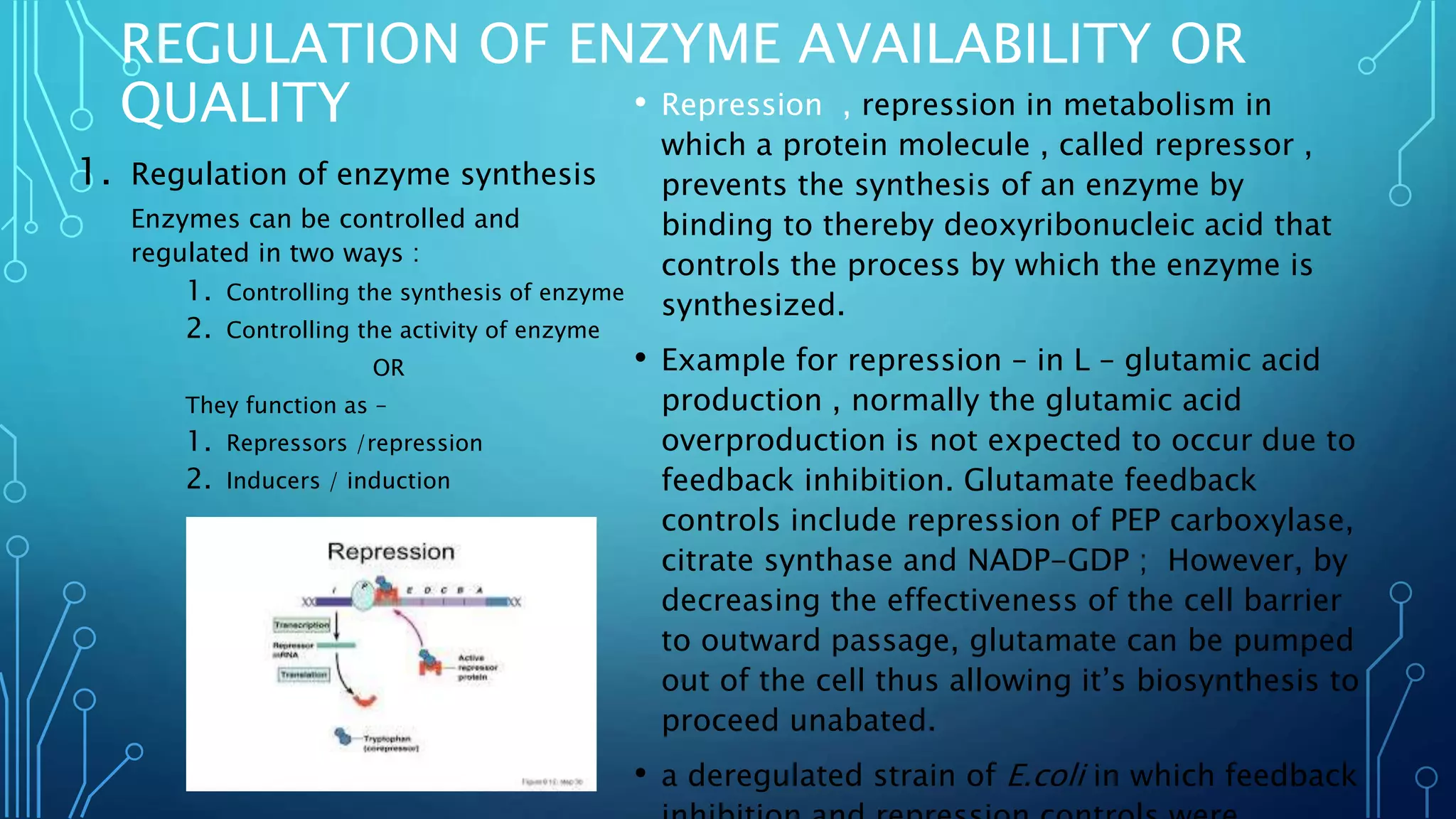 REGULATION OF ENZYME AVAILABILITY OR
QUALITY
1. Regulation of enzyme synthesis
Enzymes can be controlled and
regulated in two ways :
1. Controlling the synthesis of enzyme
2. Controlling the activity of enzyme
OR
They function as –
1. Repressors /repression
2. Inducers / induction
• Repression , repression in metabolism in
which a protein molecule , called repressor ,
prevents the synthesis of an enzyme by
binding to thereby deoxyribonucleic acid that
controls the process by which the enzyme is
synthesized.
• Example for repression – in L – glutamic acid
production , normally the glutamic acid
overproduction is not expected to occur due to
feedback inhibition. Glutamate feedback
controls include repression of PEP carboxylase,
citrate synthase and NADP-GDP ; However, by
decreasing the effectiveness of the cell barrier
to outward passage, glutamate can be pumped
out of the cell thus allowing it’s biosynthesis to
proceed unabated.
• a deregulated strain of E.coli in which feedback
 