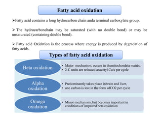 Beta oxidation of fatty acid | PDF