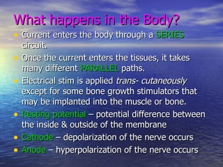 What happens in the Body? Current enters the body through a  SERIES  circuit. Once the current enters the tissues, it takes many different  PARALLEL  paths. Electrical stim is applied  trans- cutaneously  except for some bone growth stimulators that may be implanted into the muscle or bone. Resting potential  – potential difference between the inside & outside of the membrane Cathode  – depolarization of the nerve occurs Anode  – hyperpolarization of the nerve occurs 