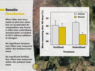 Results




                               Mass remaining after 365 days (%)
/Incubation                                                                                  Ambient
                                                                                             Warmed
When litter was incu-                                              55
bated at plot-own situa-
tion an accelerated de-
                                                                   50
composition was found
in litter from unfertilized,
warmed plots incubated                                             45
at 25°C without addition-
al nitrogen.
                                                                   40
No significant tempera-
ture effect was measured
                                                                        Fertilized      Unfertilized
within the fertilized treat-
ment.                                                                            Treatment

No significant fertiliza-
tion effect was measured
within the ambient treat-
ment.                                                                                         [Faculty of Science
                                                                                                         Biology]
 