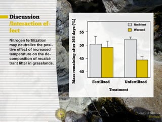 Discussion




                              Mass remaining after 365 days (%)
/Interaction ef-                                                                            Ambient

fect                                                              55
                                                                                            Warmed


Nitrogen fertilization
may neutralize the posi-                                          50
tive effect of increased
temperature on the de-
composition of recalci-                                           45
trant litter in grasslands.

                                                                  40

                                                                       Fertilized      Unfertilized

                                                                                Treatment




                                                                                            [Faculty of Science
                                                                                                       Biology]
 
