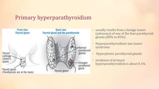 Primary hyperparathyroidism
• usually results from a benign tumor
(adenoma) of one of the four parathyroid
glands (80% to 85%)
• Hyperparathyroidism–jaw tumor
syndrome
• Hyperplastic parathyroid glands
• incidence of primary
hyperparathyroidism is about 0.1%
 