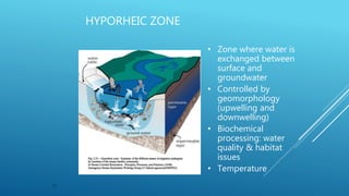 10
HYPORHEIC ZONE
• Zone where water is
exchanged between
surface and
groundwater
• Controlled by
geomorphology
(upwelling and
downwelling)
• Biochemical
processing: water
quality & habitat
issues
• Temperature
 