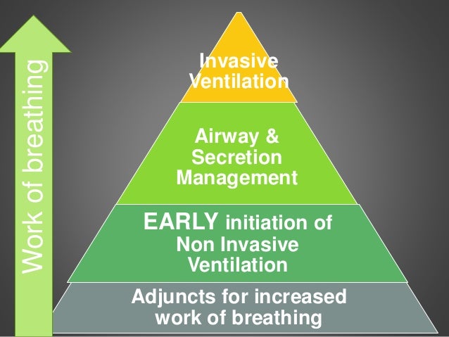 Presentation 212 d gardner_the pyramid of care for als