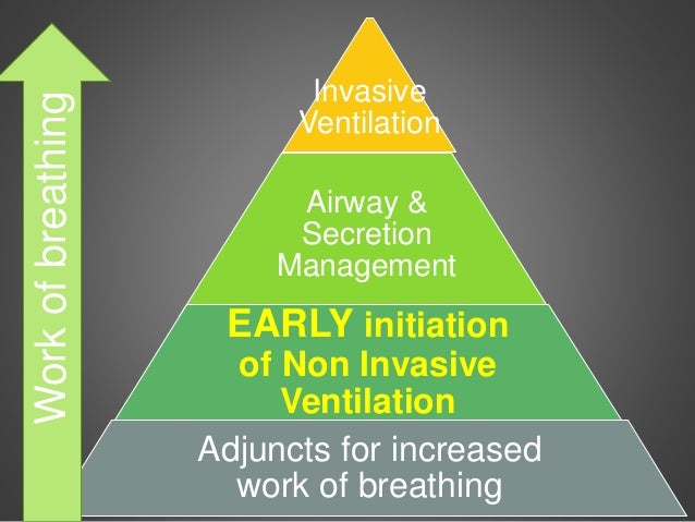 Presentation 212 d gardner_the pyramid of care for als