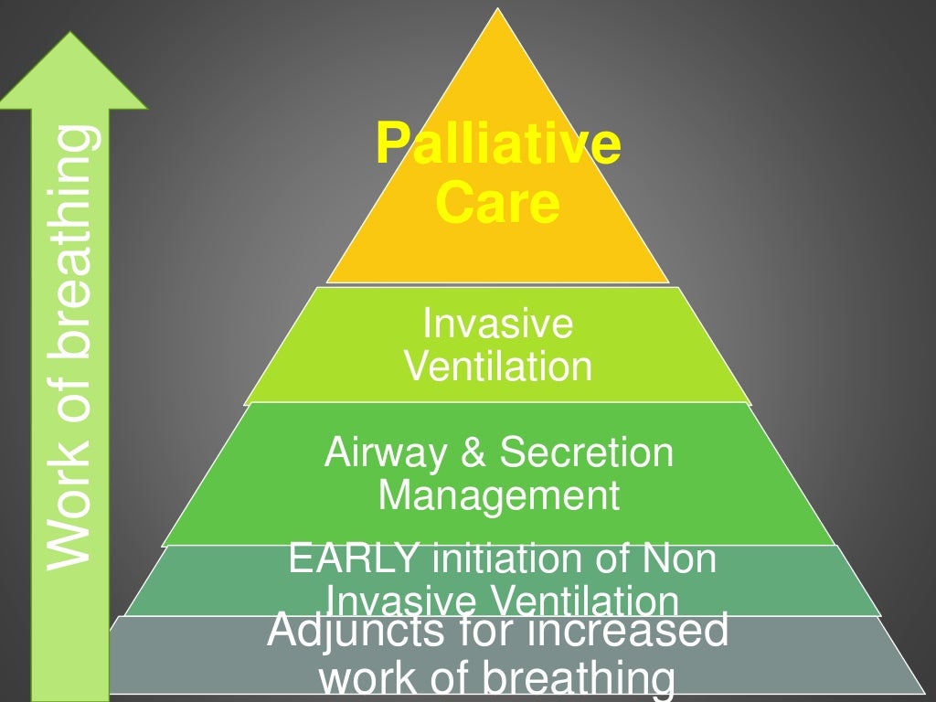 Presentation 212 d gardner_the pyramid of care for als