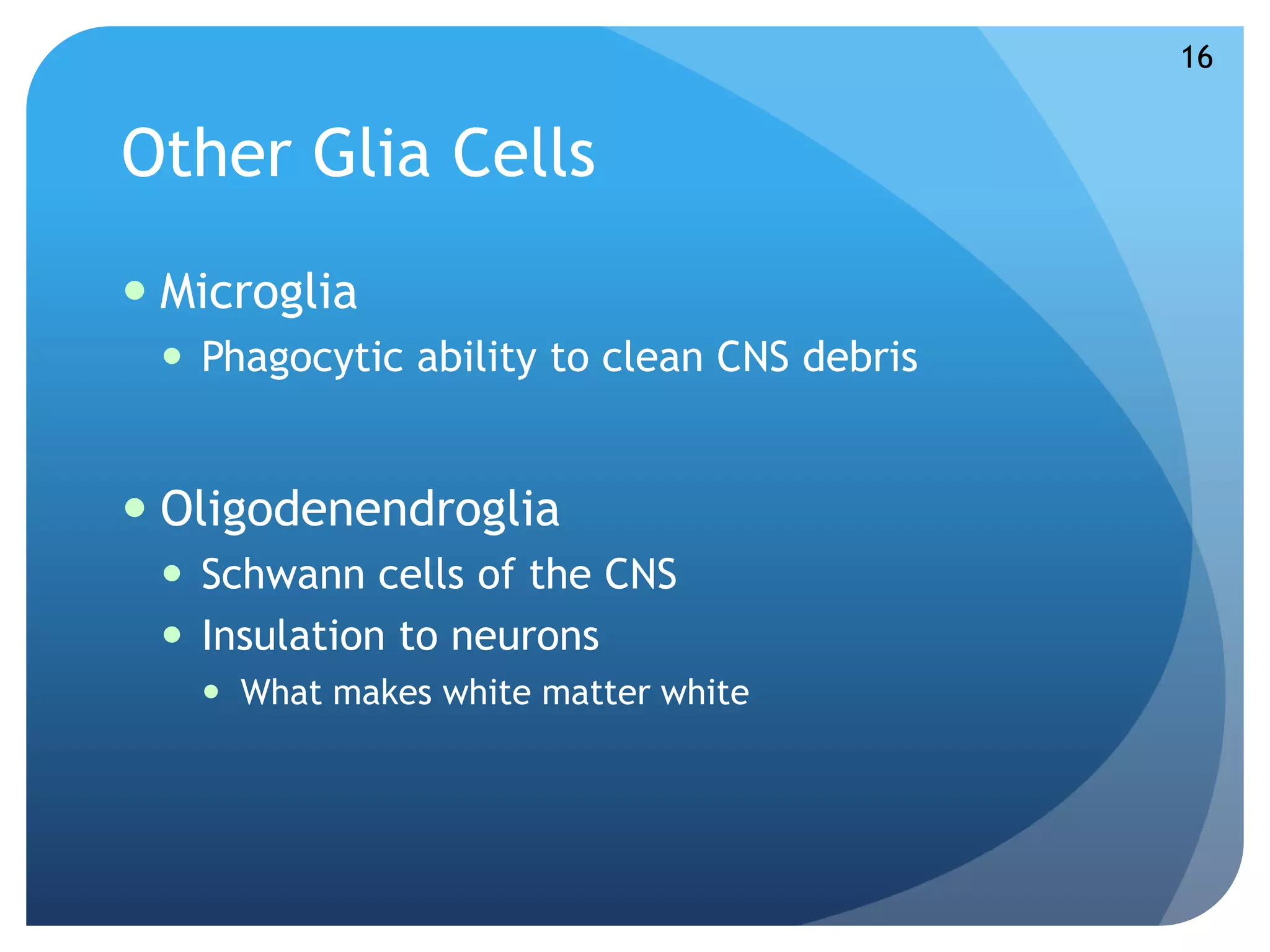 Other Glia Cells 
 Microglia 
 Phagocytic ability to clean CNS debris 
 Oligodenendroglia 
 Schwann cells of the CNS 
 Insulation to neurons 
 What makes white matter white 
16 
 