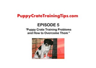 PuppyCrateTrainingTips.com
          EPISODE 5
   “Puppy Crate Training Problems
    and How to Overcome Them”
 