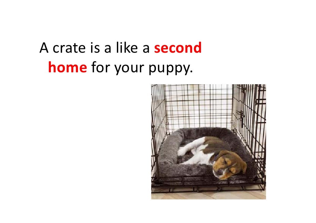 crate training problems
