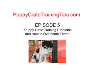PuppyCrateTrainingTips.com EPISODE 5“Puppy Crate Training Problems and How to Overcome Them” 