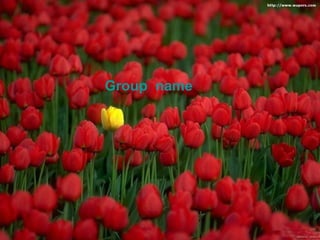 Group  name 