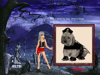 This is what my dog, Johnny Depp,  looks like.. 