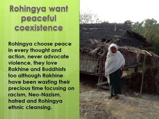 Rohingya want peace, why do you force them to be terrorists?