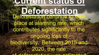 Deforestation continue to take
place at alarming rate, which
contributes significantly to the
ongoing loss of
biodiversity. Between 2015 and
2020, the rate
Current status of
Deforestation
 