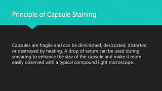 capsule staining