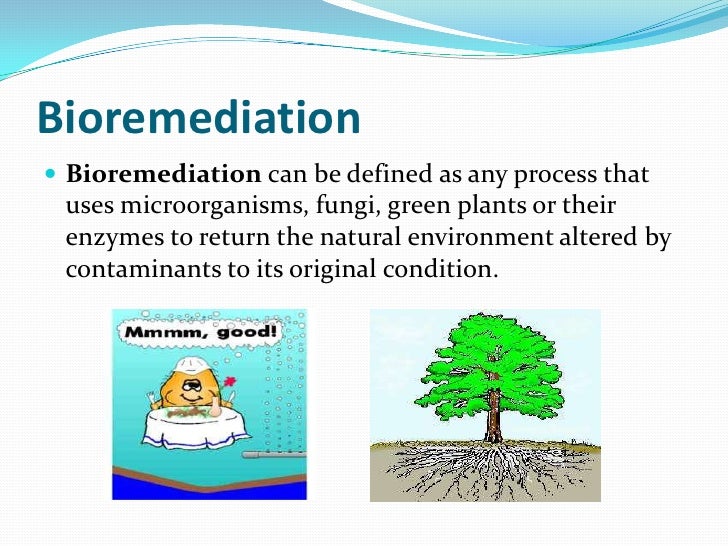 download Pronouns, Clitics and Empty Nouns: Pronominality and