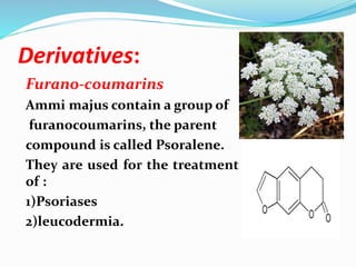 Coumarin | PPTX