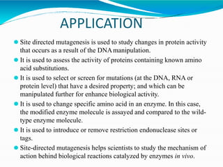 APPLICATION
⚫ Site directed mutagenesis is used to study changes in protein activity
that occurs as a result of the DNAmanipulation.
⚫ It is used to assess the activity of proteins containing known amino
acid substitutions.
⚫ It is used to select or screen for mutations (at the DNA, RNA or
protein level) that have a desired property; and which can be
manipulated further for enhance biological activity.
⚫ It is used to change specific amino acid in an enzyme. In this case,
the modified enzyme molecule is assayed and compared to the wild-
type enzyme molecule.
⚫ It is used to introduce or remove restriction endonuclease sites or
tags.
⚫ Site-directed mutagenesis helps scientists to study the mechanism of
action behind biological reactions catalyzed by enzymes in vivo.
 