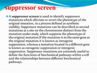suppressor screen
⚫A suppressor screen is used to identify suppressor
mutations which alleviate or revert the phenotype of the
original mutation, in a process defined as synthetic
viability. Suppressor mutations can be described as second
mutations at a site on the chromosome distinct from the
mutation under study, which suppress the phenotype of
theoriginal mutation.If the mutation is in thesamegeneas
the original mutation it is known as intragenic
suppression, whereas a mutation located in adifferentgene
is known as extragenic suppression or intergenic
suppression. Suppressor mutations are extremely useful to
define the functions of biochemical pathways within a cell
and the relationships between different biochemical
pathways.
 