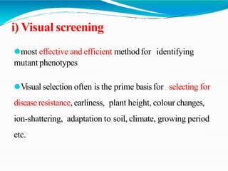 i) Visual screening
⚫most effective and efficient methodfor identifying
mutant phenotypes
⚫Visual selection often is the prime basisfor selecting for
diseaseresistance, earliness, plant height, colour changes,
ion-shattering, adaptation to soil, climate, growing period
etc.
 